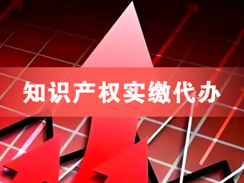 松原知识产权实缴资本代办